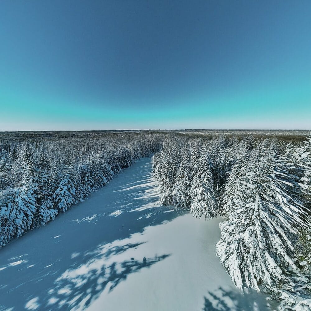 Google Gemini / Bard - Landscape